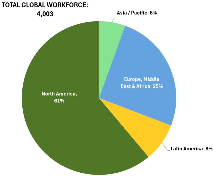 2025 Global Workforce Pie Chart.jpg