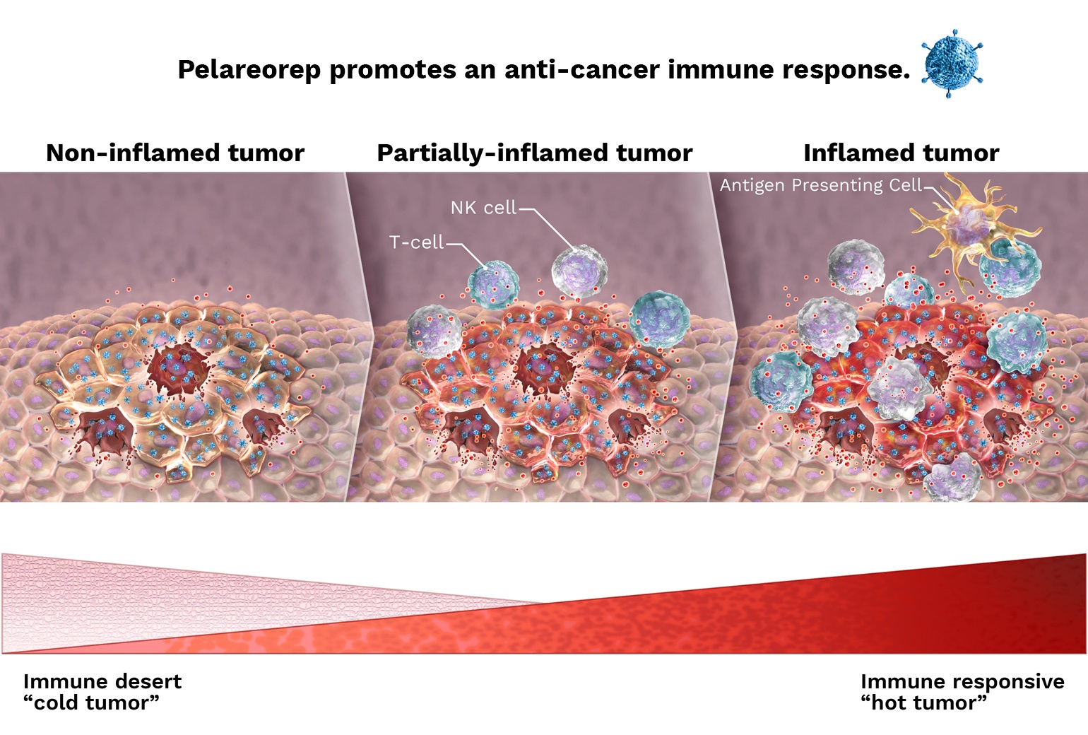 oncyf-20221231_g2.jpg