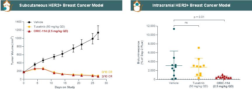 img259446733_15.jpg