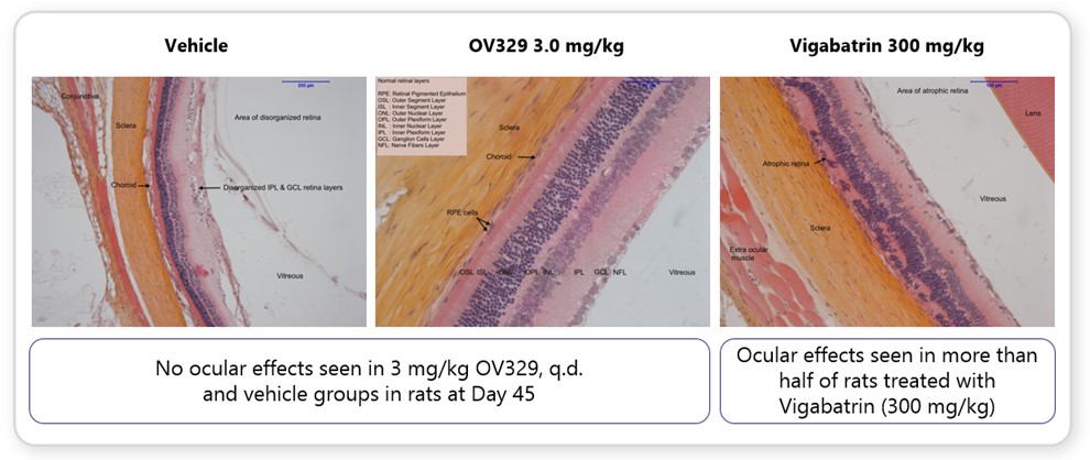 ovid-20221231_g3.jpg