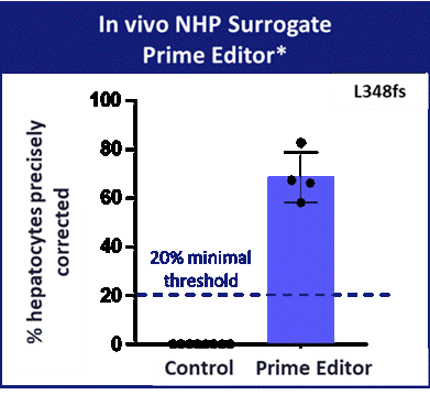 Image 11.gif