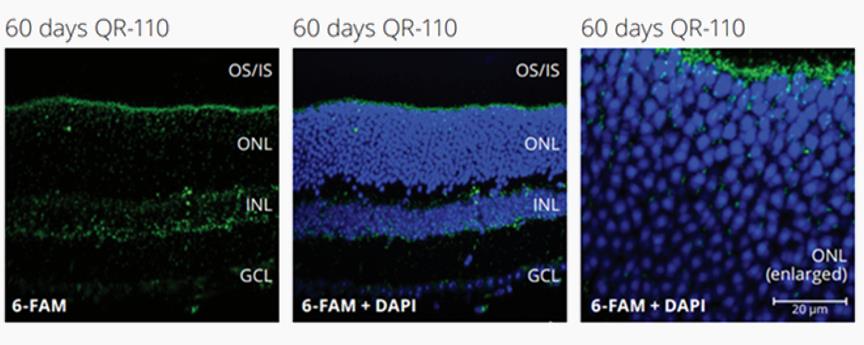 Picture 27