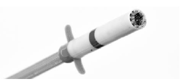 lung-20211231_g6.jpg