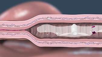 img173407487_4.jpg