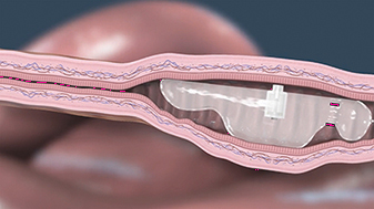 img174331008_3.jpg