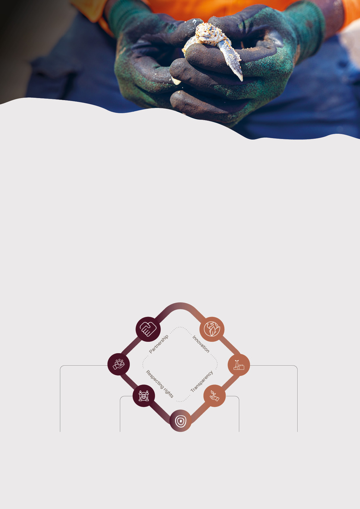 Our approach to sustainability-BG.jpg