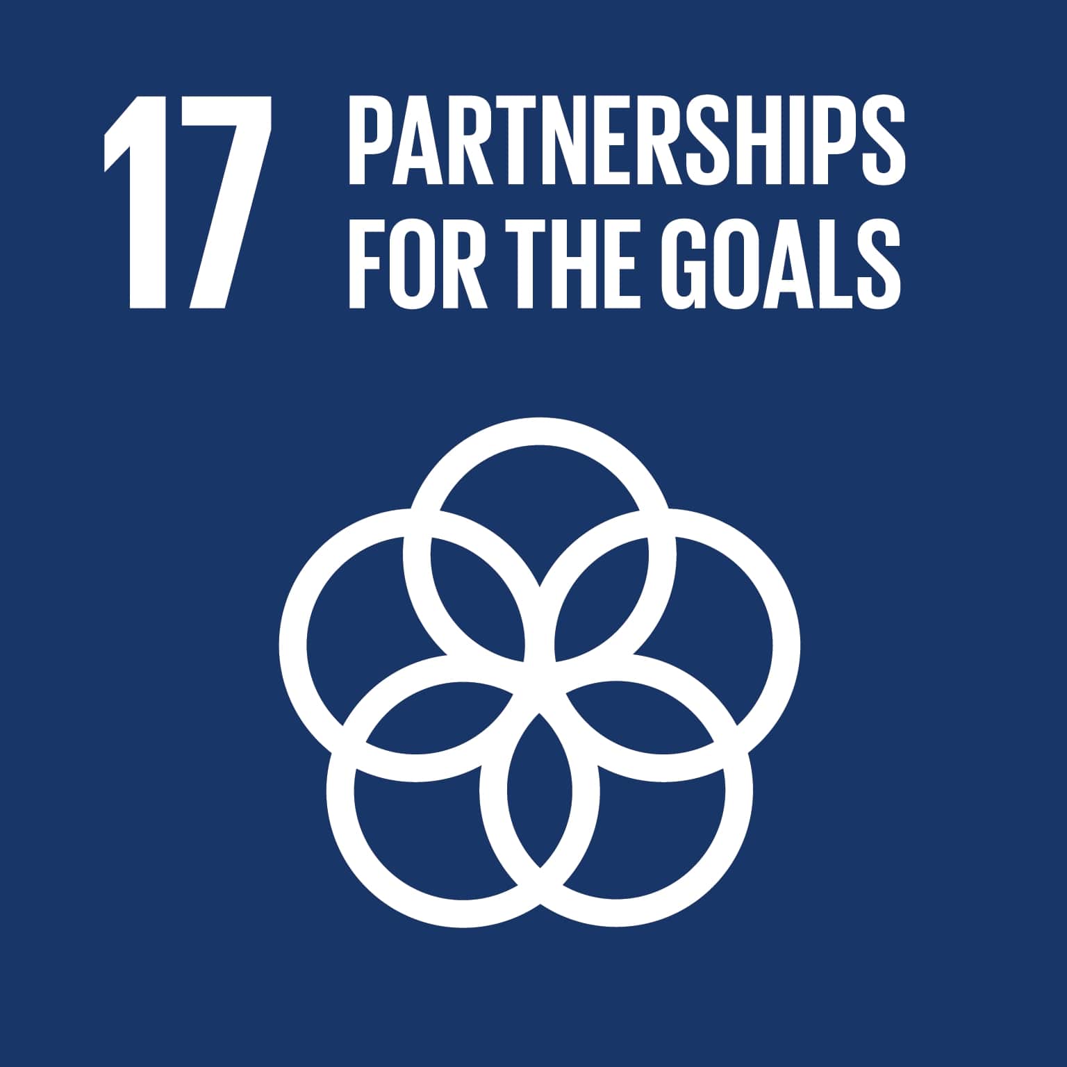 partnershipsgoalsa03.jpg