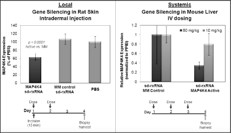 (FIGURE 6)