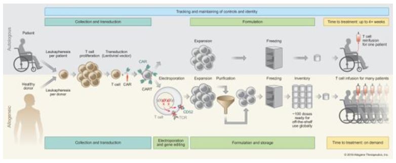 allo-20201231_g5.jpg