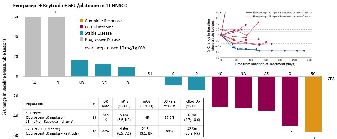 img49963848_8.jpg
