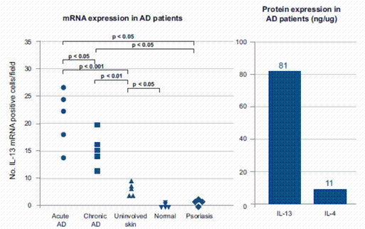 img100062003_6.gif
