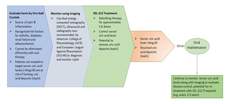 figure5a04.jpg