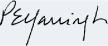 -s- Patricia E. Yarrington