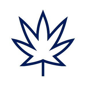 cannabis.jpg