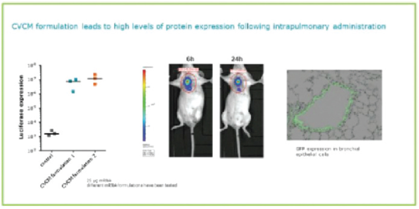 [MISSING IMAGE: tm215958d1-ph_intrapulm4clr.jpg]