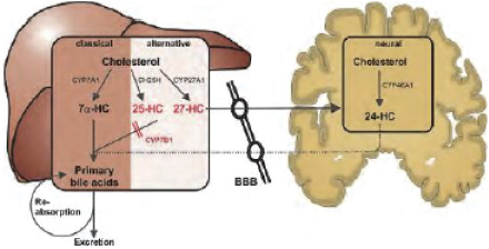 [MISSING IMAGE: tm215958d1-ph_paraplegi4clr.jpg]