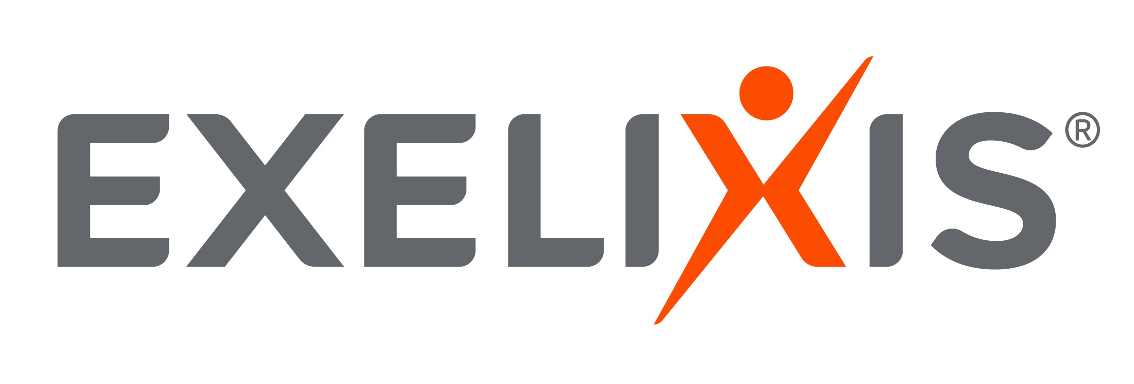 exel-20210402_g1.jpg