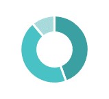 IT pie chart.jpg