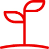 PlantLeaves.jpg