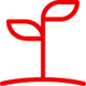 PlantLeaves.jpg