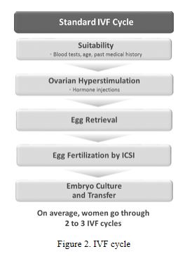 figure2a01.jpg
