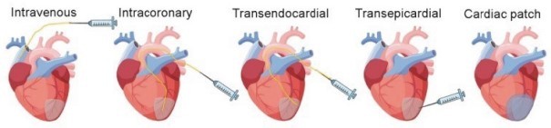 img251112616_54.jpg