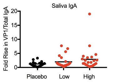 j11.jpg