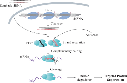 img61678762_21.jpg
