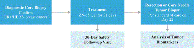 zntl-20201231_g12.gif