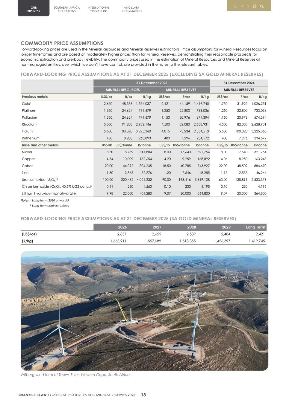 4. 20F Mineral Reserves & Resources supplement SEC Final021.jpg