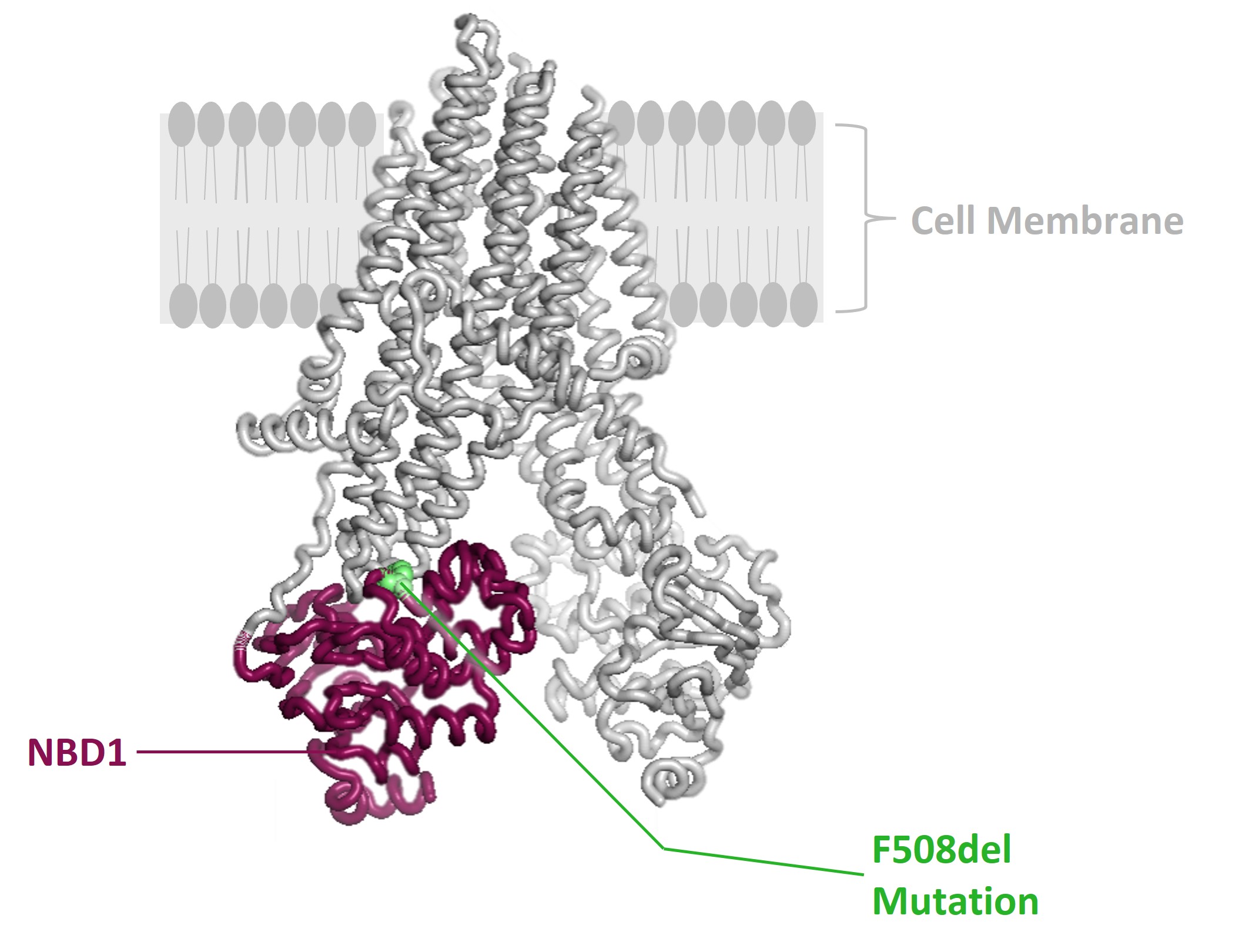fig1.jpg