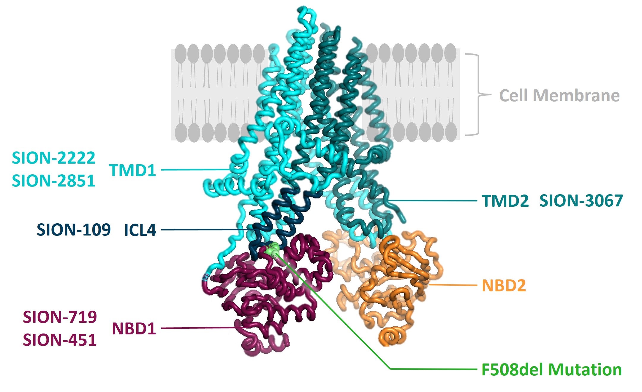 fig3v2a.jpg