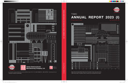 TSMC - Annual Reports