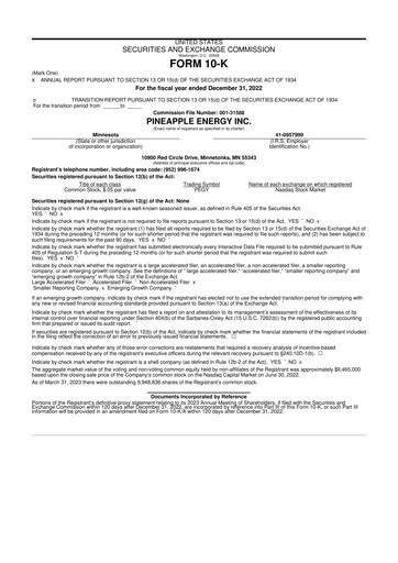 Thumbnail SUNation Energy Inc. 10-K Annual Report 2022