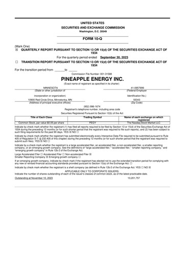 Thumbnail SUNation Energy Inc. 10-Q Quarterly Report FY2023 