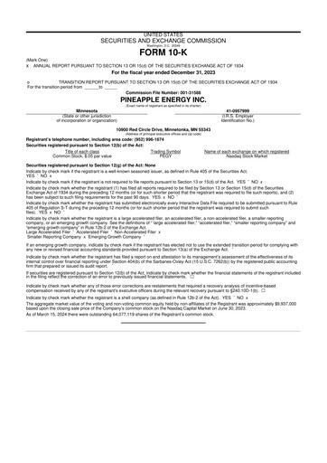 Thumbnail SUNation Energy Inc. 10-K Annual Report 2023