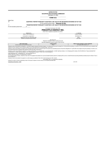 Thumbnail SUNation Energy Inc. 10-Q Quarterly Report FY2024 