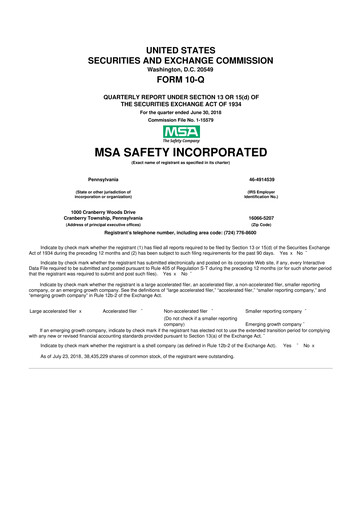 Miniature MSA Safety 10-Q Rapport trimestriel 2018 
