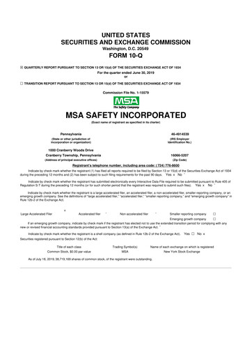 Miniature MSA Safety 10-Q Rapport trimestriel 2019 