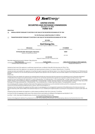 Thumbnail Xcel Energy 10-K Annual Report 2020