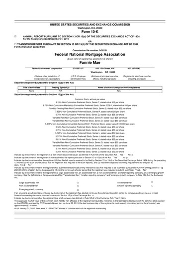 Thumbnail Fannie Mae
 10-K Annual Report 2019