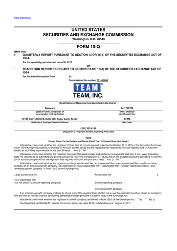Thumbnail Team Inc 10-Q Quarterly Report FY2017 