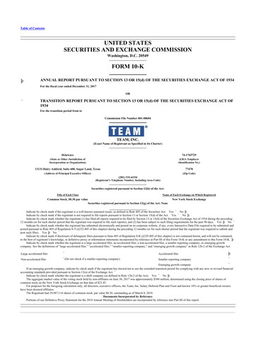 Thumbnail Team Inc 10-K Annual Report 2017