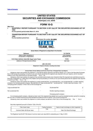 Thumbnail Team Inc 10-Q Quarterly Report FY2019 