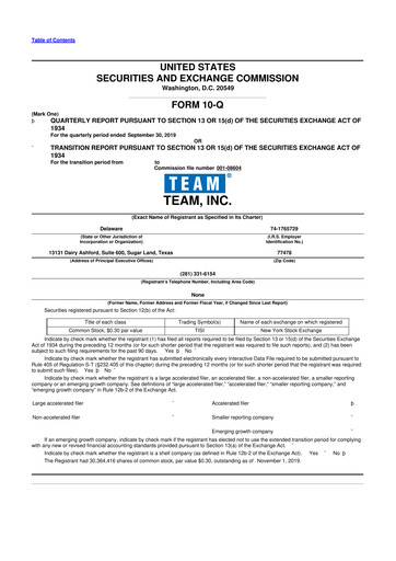 Thumbnail Team Inc 10-Q Quarterly Report FY2019 