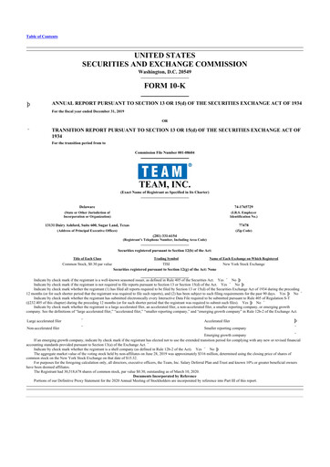 Thumbnail Team Inc 10-K Annual Report 2019