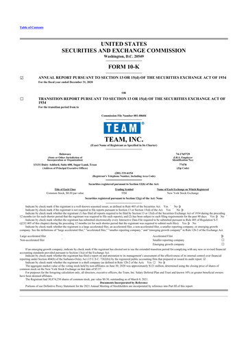 Thumbnail Team Inc 10-K Annual Report 2020