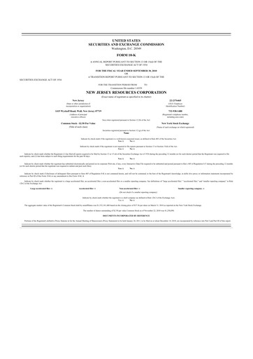 Thumbnail New Jersey Resources 10-K Annual Report 2010