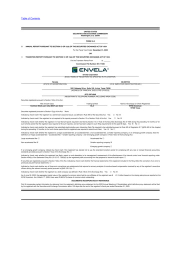 Thumbnail Envela Corporation 10-K Annual Report 2025
