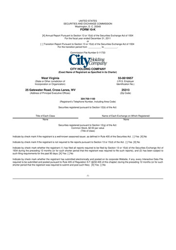 Thumbnail City Holding Company 10-K Annual Report 